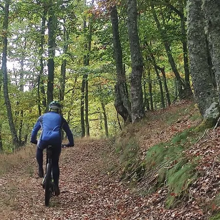 Montes De Lillo --vut Le 625 Appartement Puebla de Lillo