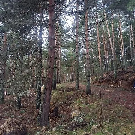 Montes De Lillo --vut Le 625