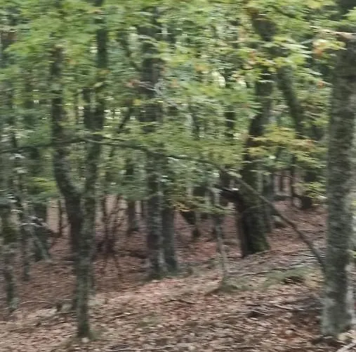 Montes De Lillo --vut Le 625 * Puebla de Lillo