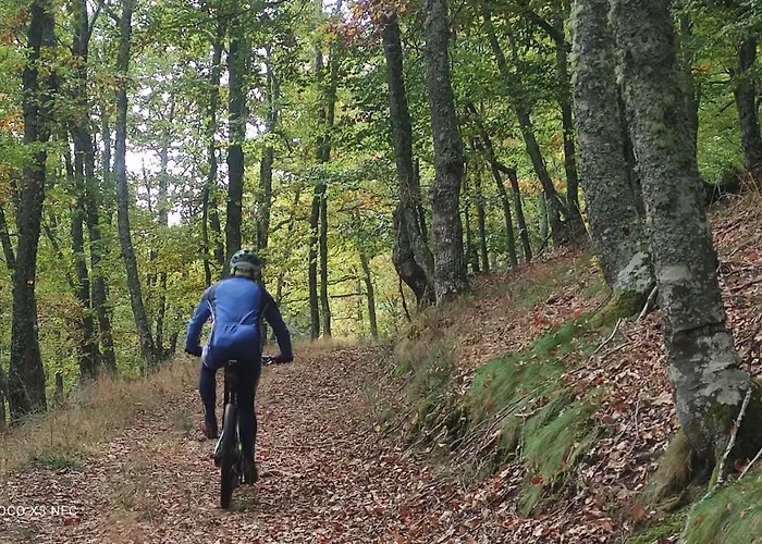 Montes De Lillo --vut Le 625 Apartment Puebla de Lillo