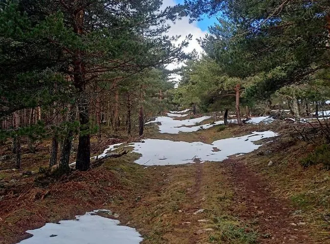 Montes De Lillo --vut Le 625 Apartment