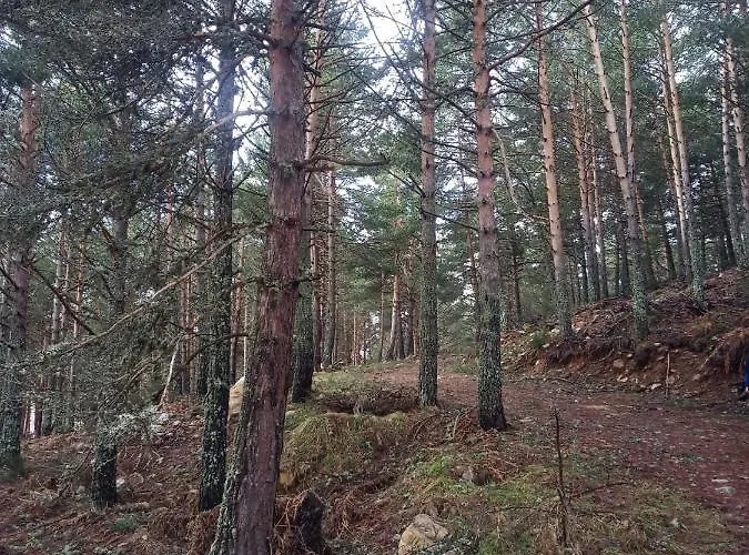 Montes De Lillo --vut Le 625