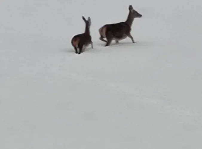 Apartment Montes De Lillo --vut Le 625 Puebla de Lillo